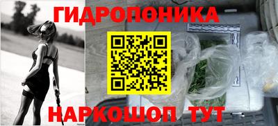 сатива Краснокаменск