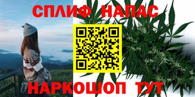 сатива Краснокаменск
