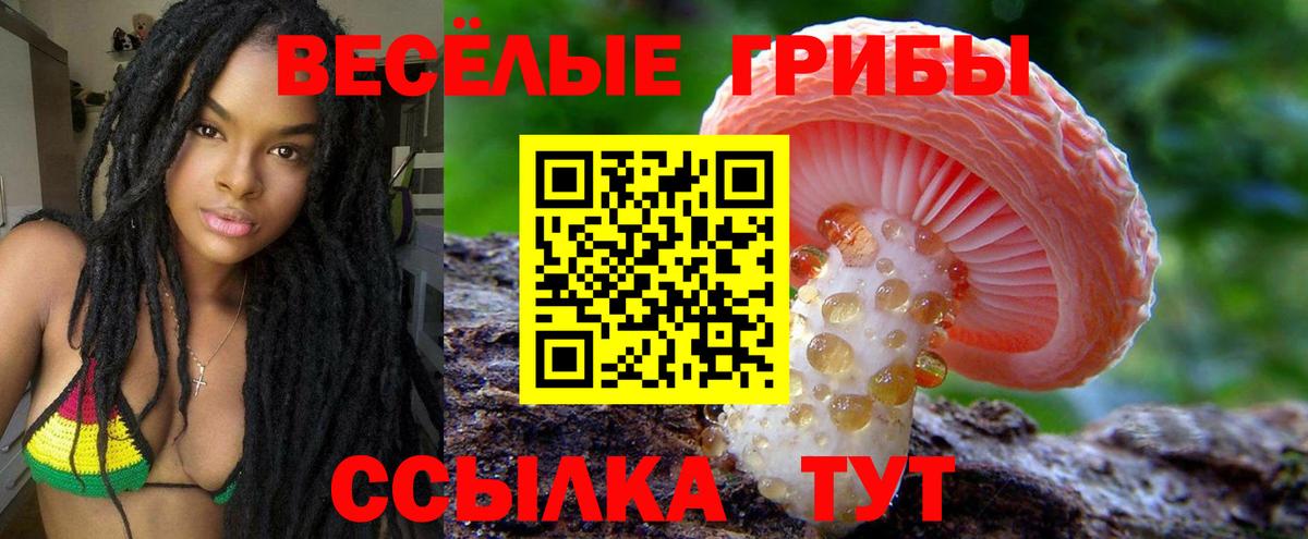 Нижнеудинск  Псилоцибиновые грибы MAGIC MUSHROOMS  Вход с VPN 
